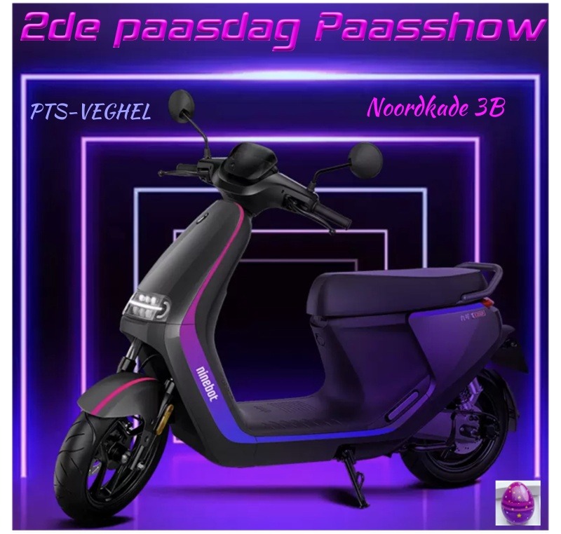 PTS-Veghel scooter service